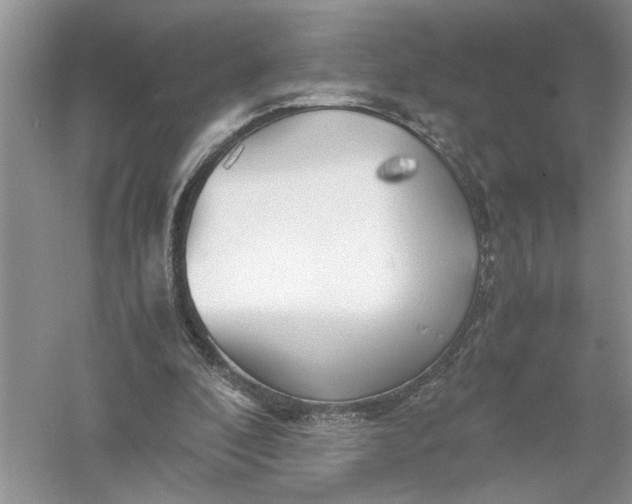 X0000055980296200509092000