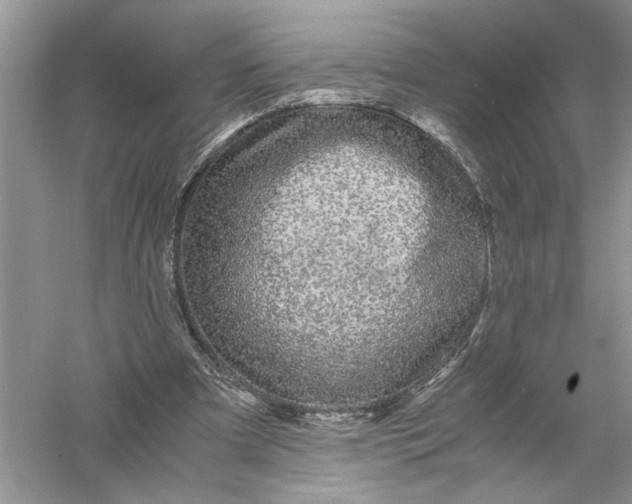 X0000055980297200509092000