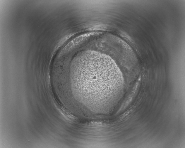 X0000055980298200509092000