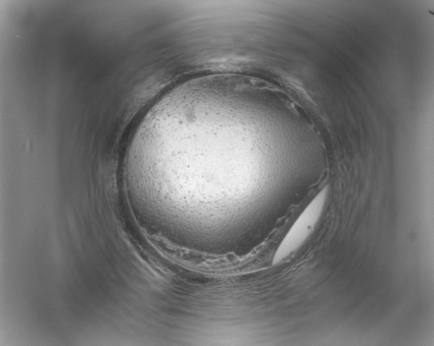 X0000055980299200509092000