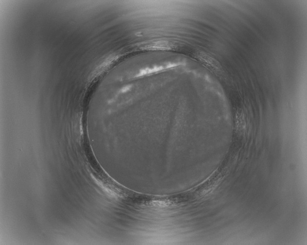 X0000055980302200509092000