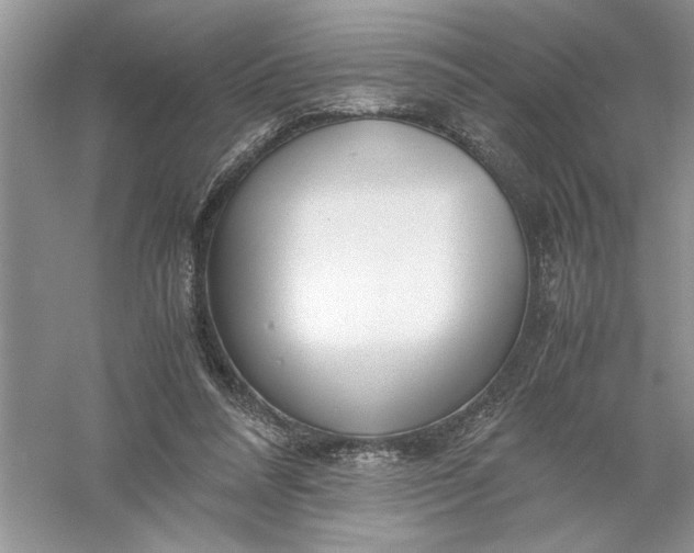 X0000055980304200509092000