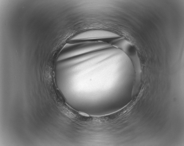 X0000055980305200509092000