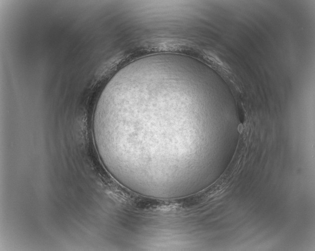 X0000055980306200509092000