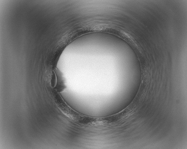 X0000055980307200509092000