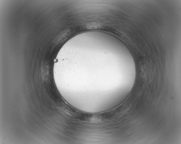 X0000055980308200509092000