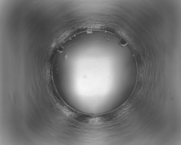 X0000055980309200509092000