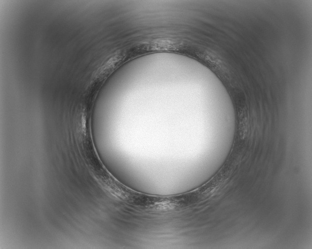 X0000055980310200509092000