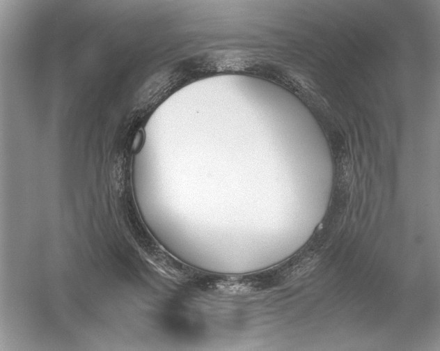 X0000055980311200509092000