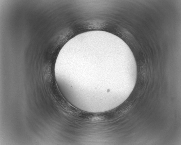 X0000055980312200509092000