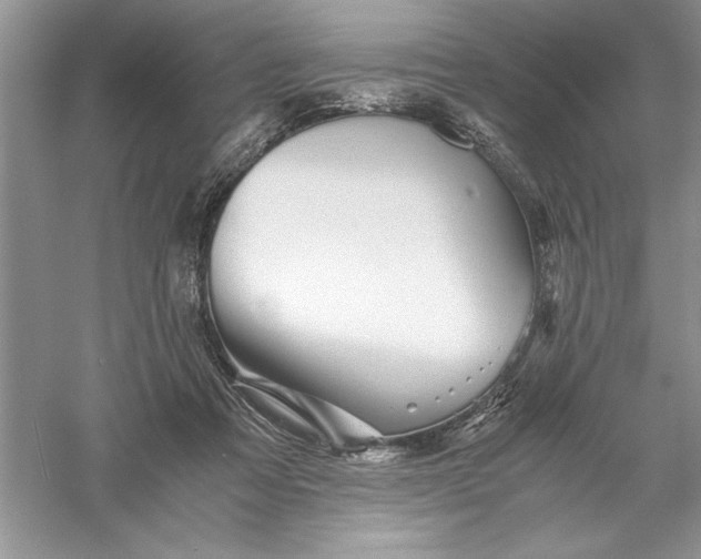 X0000055980313200509092000