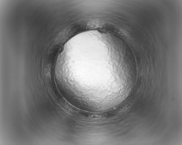 X0000055980315200509092000