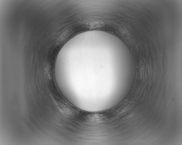 X0000055980316200509092000