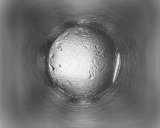 X0000055980319200509092000