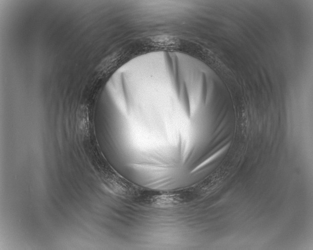 X0000055980320200509092000