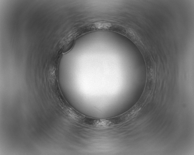 X0000055980321200509092000