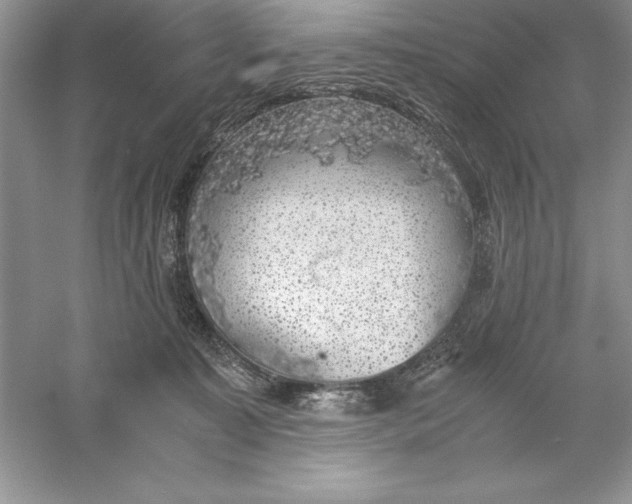 X0000055980323200509092000