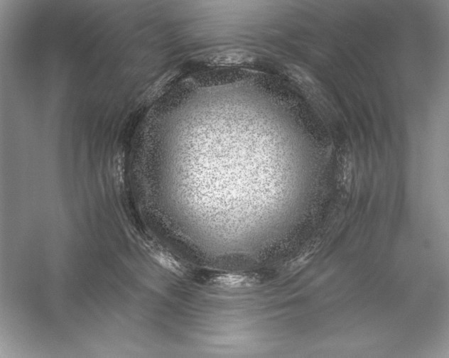 X0000055980326200509092000