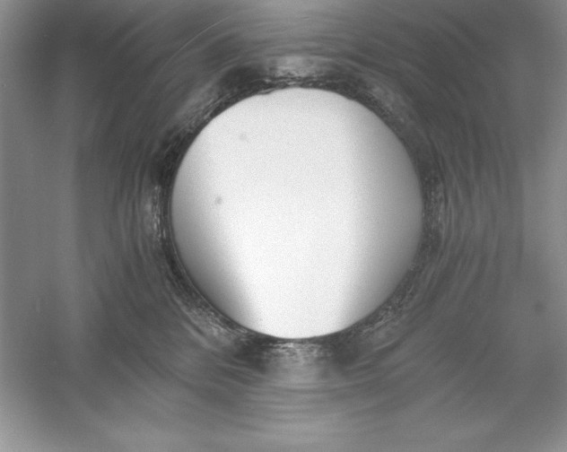 X0000055980328200509092000