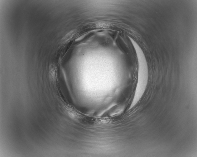 X0000055980329200509092000