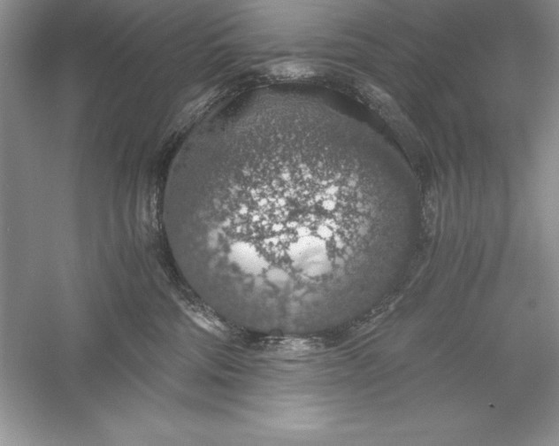 X0000055980330200509092000