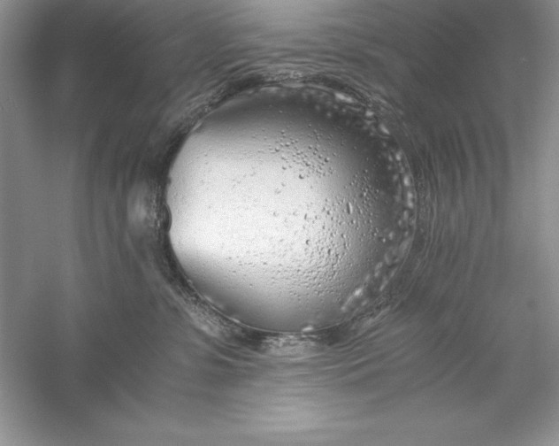 X0000055980331200509092000