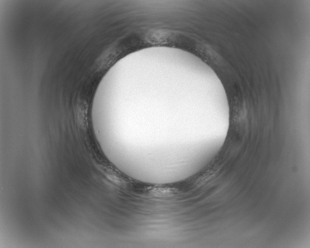 X0000055980332200509092000