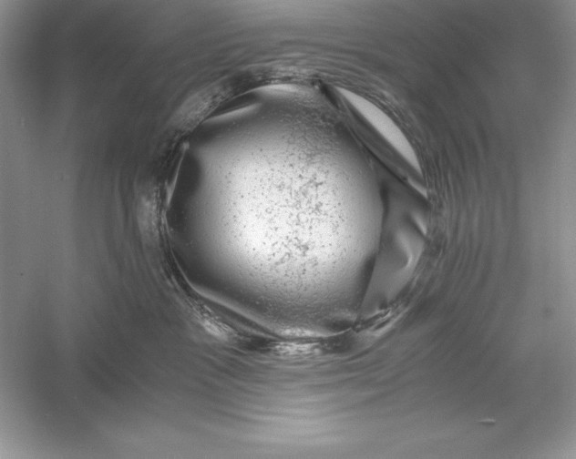 X0000055980333200509092000