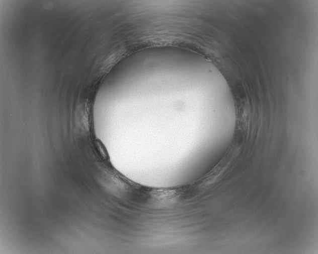 X0000055980334200509092000