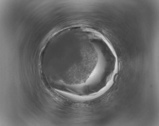 X0000055980339200509091959