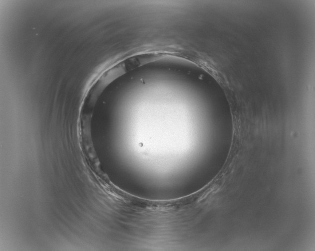 X0000055980340200509091959