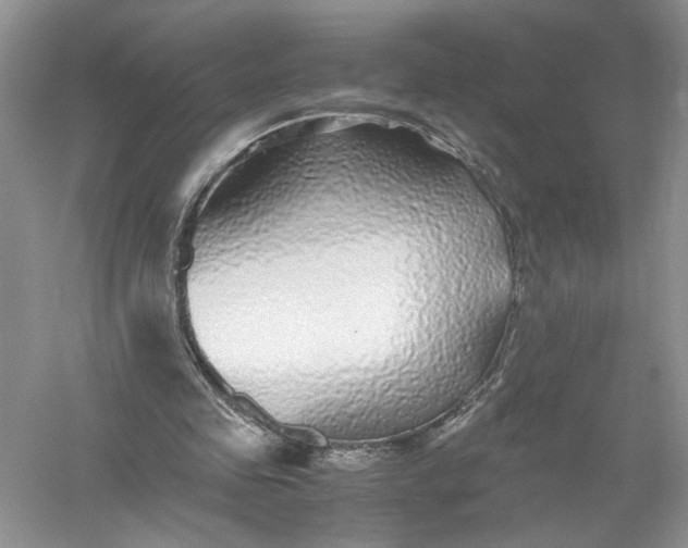 X0000055980341200509091959