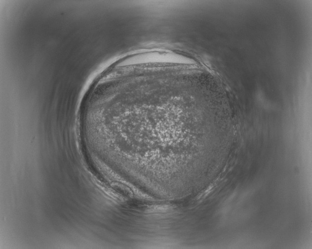 X0000055980342200509091959