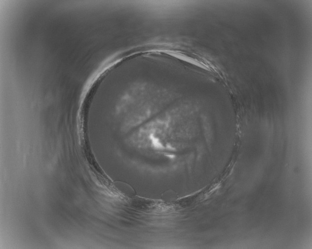 X0000055980343200509091959