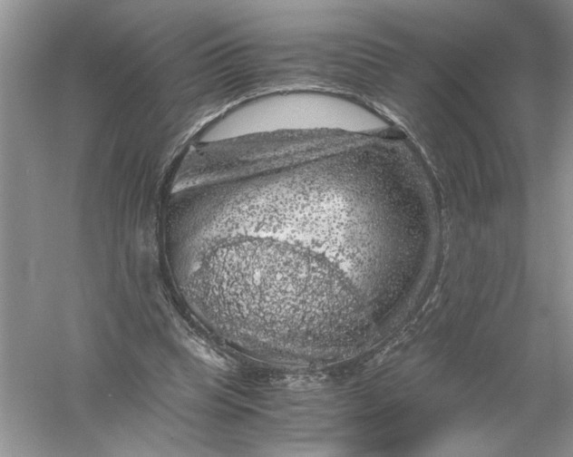 X0000055980345200509091959