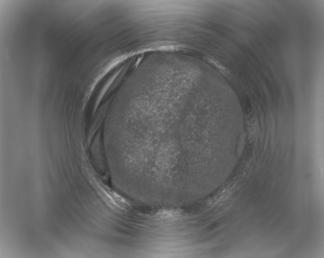 X0000055980350200509091959