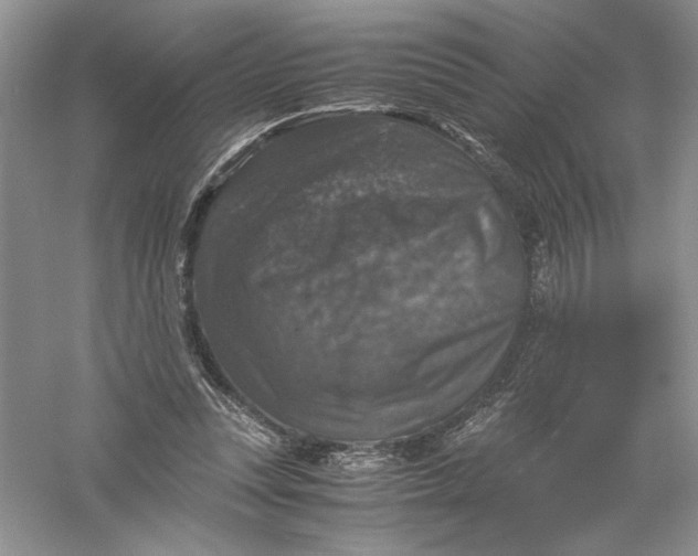 X0000055980351200509091959