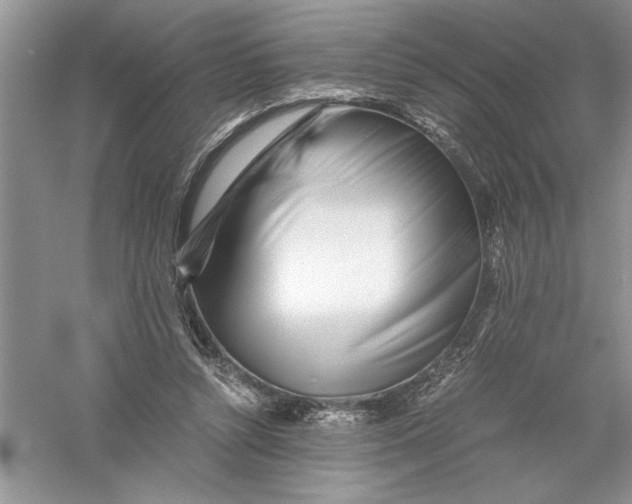 X0000055980352200509091959