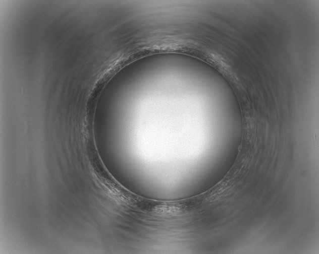 X0000055980354200509091959