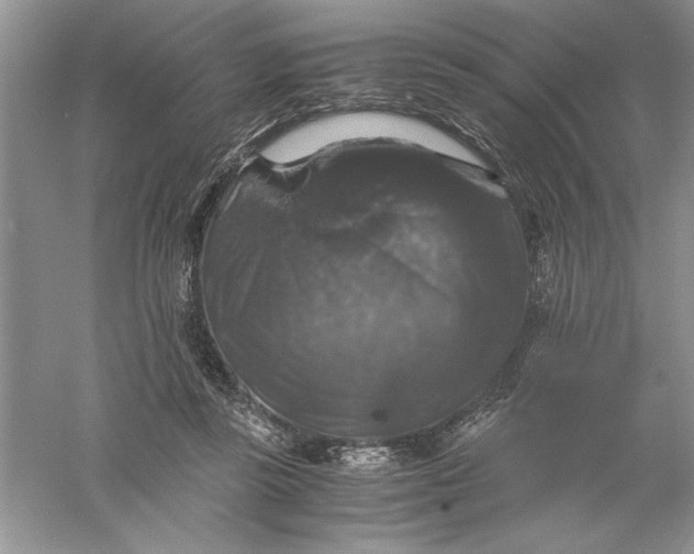 X0000055980355200509091959