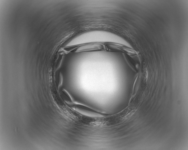 X0000055980356200509091959