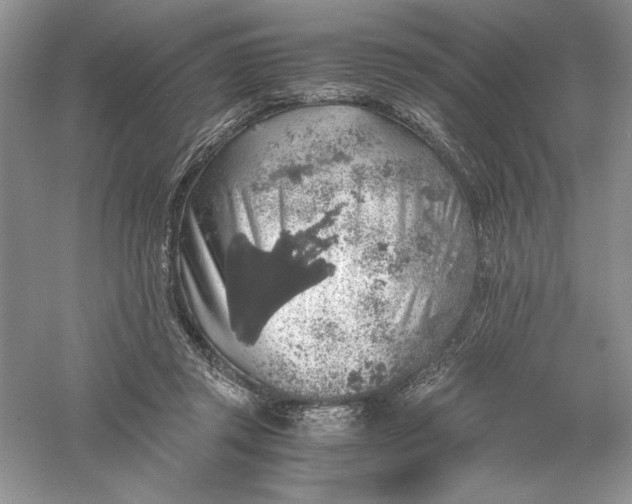 X0000055980357200509091959