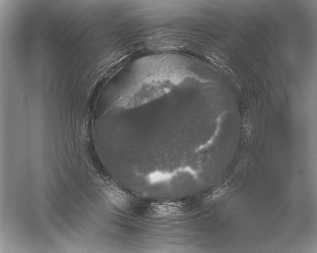 X0000055980359200509091959