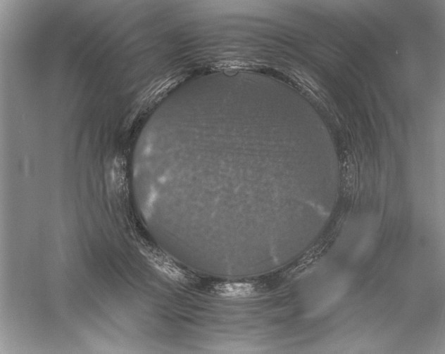 X0000055980361200509091959