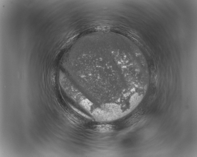 X0000055980363200509091959