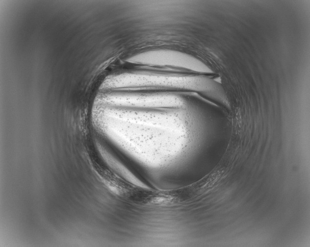 X0000055980364200509091959