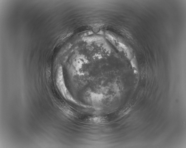 X0000055980365200509091959