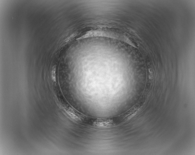 X0000055980368200509091959