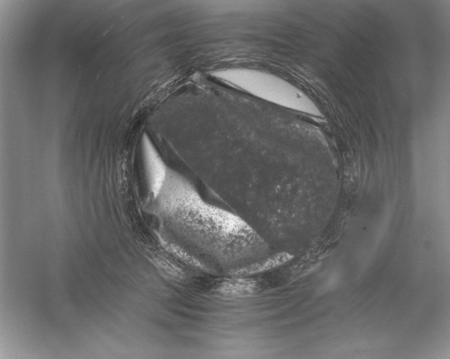 X0000055980369200509091959