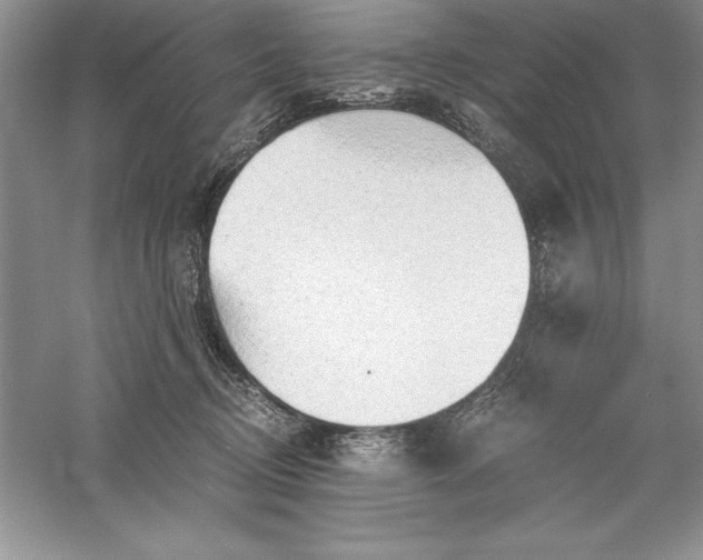 X0000055980370200509091959